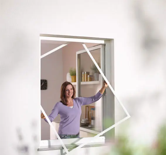 Fliegengitter Mietwohnung