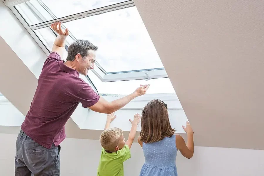 fliegengitter dachfenster